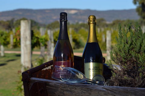 John Kosovich Wines - New Castle Tourism 0