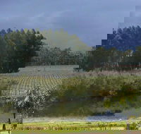 The Alchemist - Newcastle Accommodation