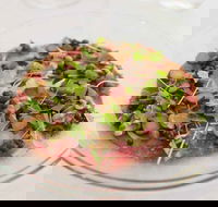 Altair - Newcastle Accommodation