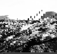 Ballabourneen Wine Co