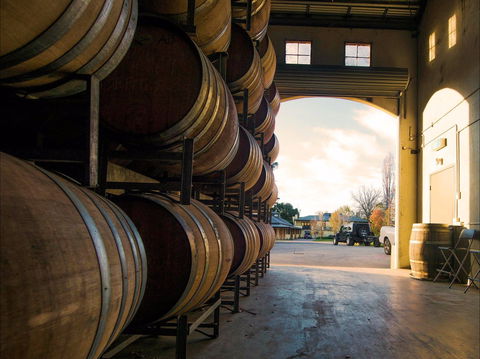 Eling Forest Cellar Door And Cafe - New Castle Tourism 2