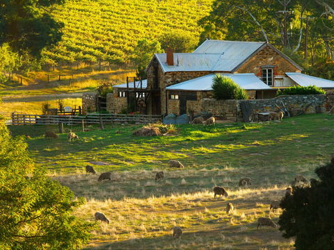 Hutton Vale Farm - Newcastle Accommodation 1