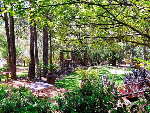 Naked Apple Cider - Newcastle Accommodation 0