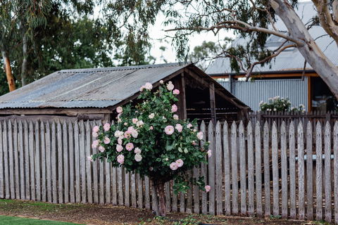Penny's Hill Winery - Newcastle Accommodation 2