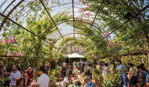 The Grounds Of Alexandria - Newcastle Accommodation 2