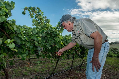 Vale Creek Wines - New Castle Tourism 2