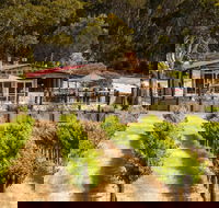 False Cape Wines Cellar Door - Newcastle Accommodation