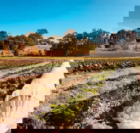 Synchronicity Farm - Newcastle Accommodation