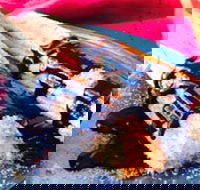 Donut King - Tarneit - Newcastle Accommodation