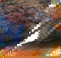 Reddy Roasts - Cheltenham