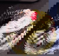 Rolls' Savour Vietnamese Street Food  Bakery