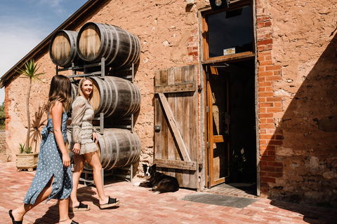 Shingleback Wine - Newcastle Accommodation 1