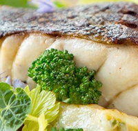 Linden Tree at Lindenderry