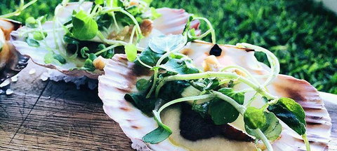 Boardwalk Bistro On Hastings - Newcastle Accommodation 1