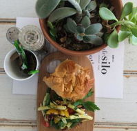 Cafe Silo - Newcastle Accommodation