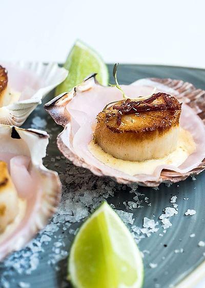 Aristotle's Neutral Bay - New Castle Tourism 1