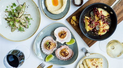 Aristotle's Neutral Bay - New Castle Tourism 19