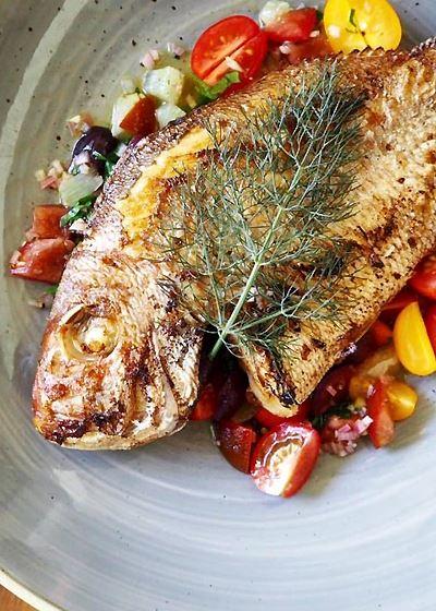 Aristotle's Neutral Bay - New Castle Tourism 2