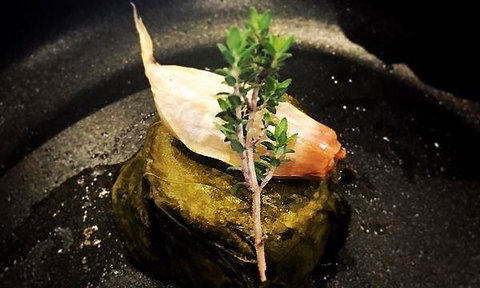 Aristotle's Neutral Bay - New Castle Tourism 7