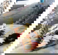 Edward Abbott Food  Wine - Newcastle Accommodation