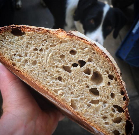 The Olfactory Inn - New Castle Tourism 12