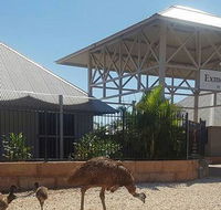 Papou's Kitchen Cafe - New Castle Tourism