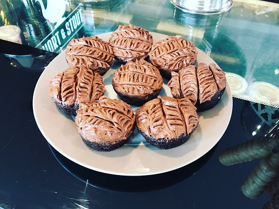 Snug TAS Newcastle Accommodation