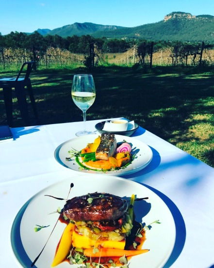 Mount Broke Wines Restaurant - Newcastle Accommodation 0