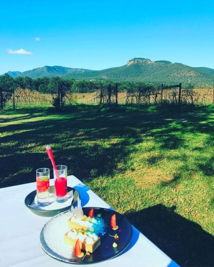 Mount Broke Wines Restaurant - Newcastle Accommodation 1