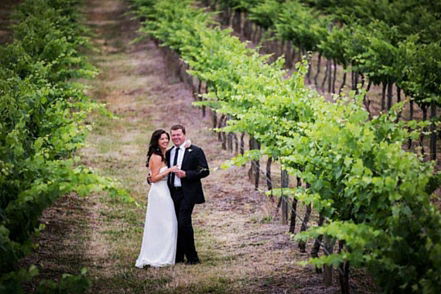 Mount Broke Wines Restaurant - Newcastle Accommodation 3