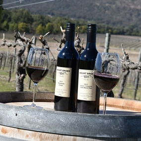 Mount Broke Wines Restaurant - Newcastle Accommodation 5
