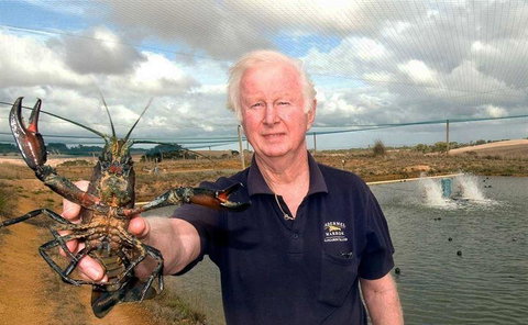 Marron Cafe - Newcastle Accommodation 14