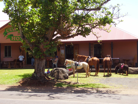 Currajah Hotel - Newcastle Accommodation 1