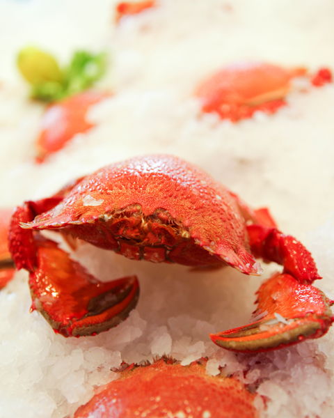 Point Cartwright Seafood Market - Newcastle Accommodation 2