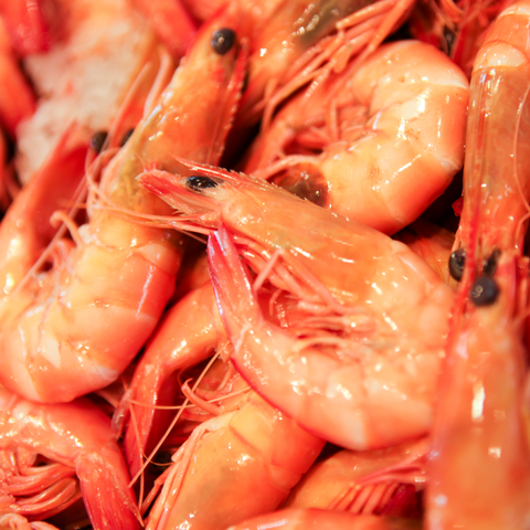 Point Cartwright Seafood Market - Newcastle Accommodation 4