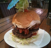 Dingo Beach Hotel - Newcastle Accommodation