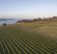 Bangor Vineyard Shed