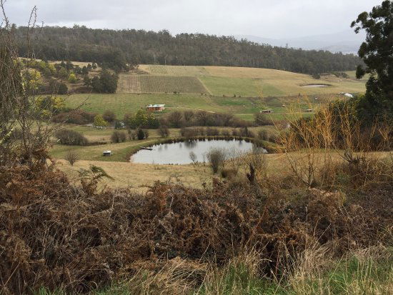 Glaziers Bay TAS Newcastle Accommodation