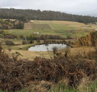 Fat Pig Farm - Newcastle Accommodation