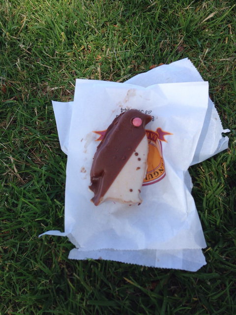 Penguin Country Bakehouse - Newcastle Accommodation 8