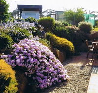 Pipers River Tea House and Crafts - Newcastle Accommodation