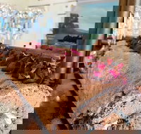 The Green Door Cafe-Restaurant-Apothecary