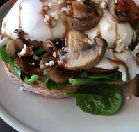Hedgehogs Cafe - Newcastle Accommodation