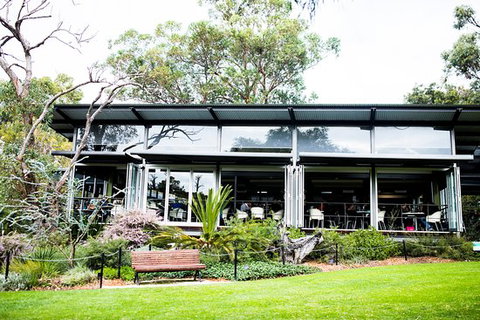 Zamia Cafe - Newcastle Accommodation 0
