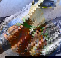 The Strand Byford Lakeside Restaurant  Cafe