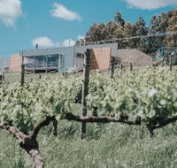 Green Door Winery  Cafe - New Castle Tourism