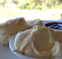 Tanglefoot Winery Cafe - Newcastle Accommodation