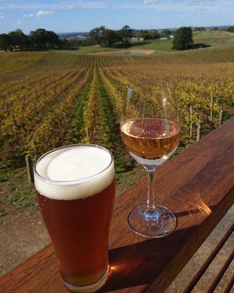 Anderson Hill Cellar Door Restaurant - New Castle Tourism 4