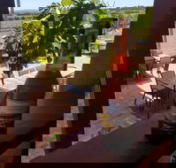 Sellicks Hill Wines - Newcastle Accommodation