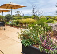 Arid Lands Botanic Garden Cafe - Newcastle Accommodation
